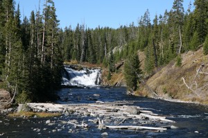 IMG_6040
