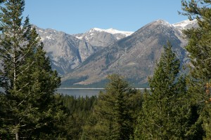 IMG_6043