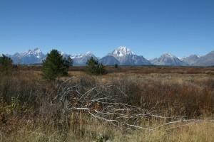 IMG_6064