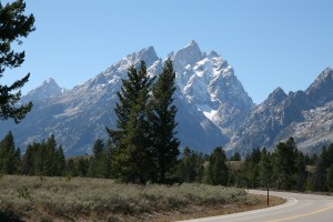 IMG_6082