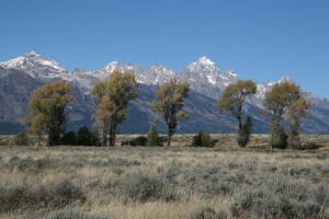 IMG_6086
