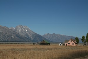 IMG_6121