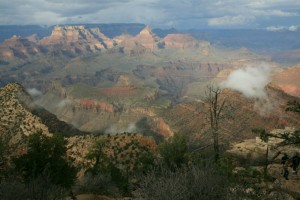 IMG_7804-1600x1067