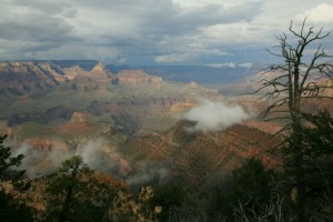 IMG_7806-1600x1067