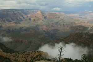 IMG_7822-1600x1067